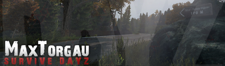 MaxTorgau | PVP / no Vehicles / no Mod / nKoS