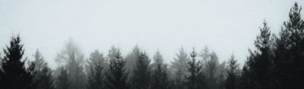 [HoJo]Apokalypse Reloaded[DE-Eng]PVE-Bot-CustomLoot