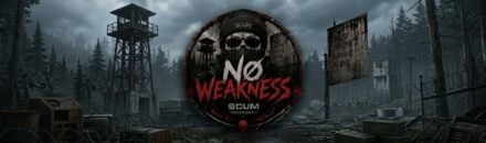 NO WEAKNESS
