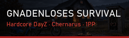 DAYZINTENZ.COM Hardcore Survival EU CHERNARUS1 | 1.30 UPDATE